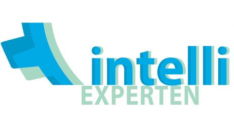 intelli Experten GmbH & Co. KG